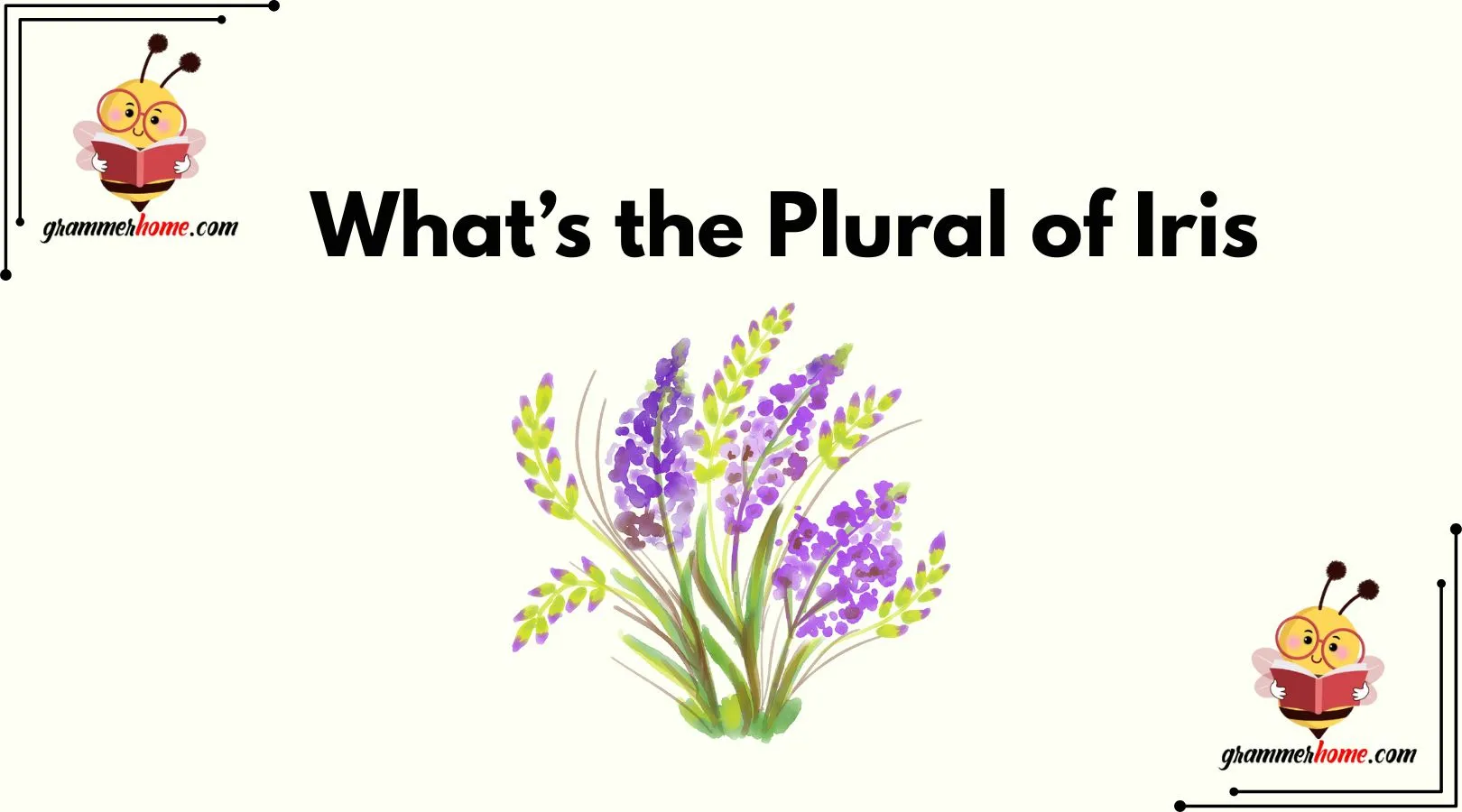 What’s the Plural of Iris