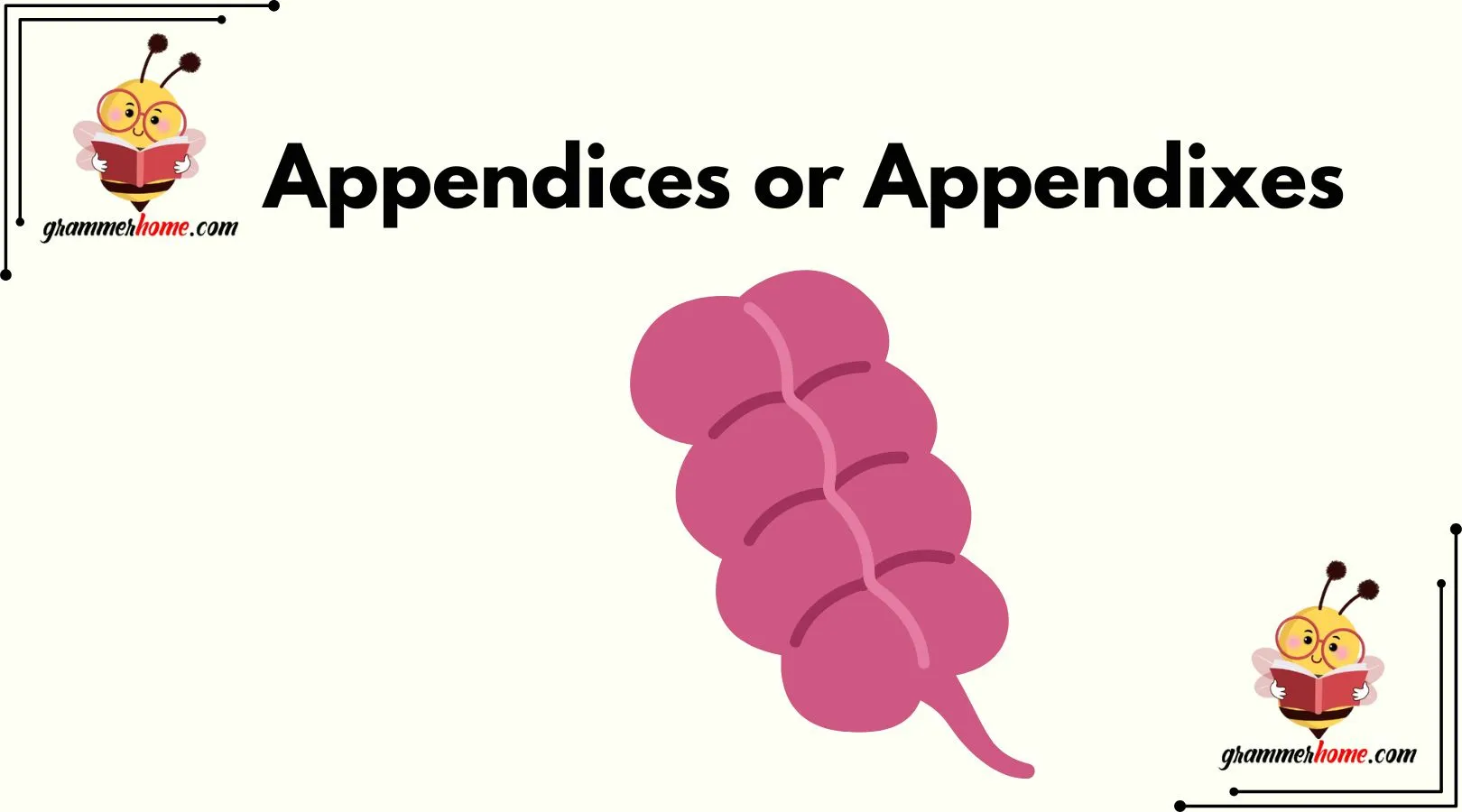 Appendices or Appendixes
