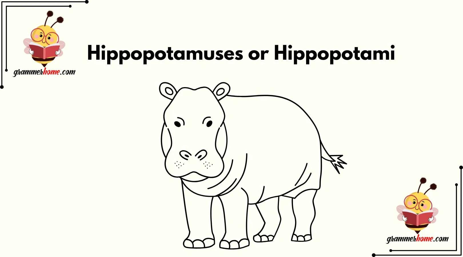 Hippopotamuses or Hippopotami