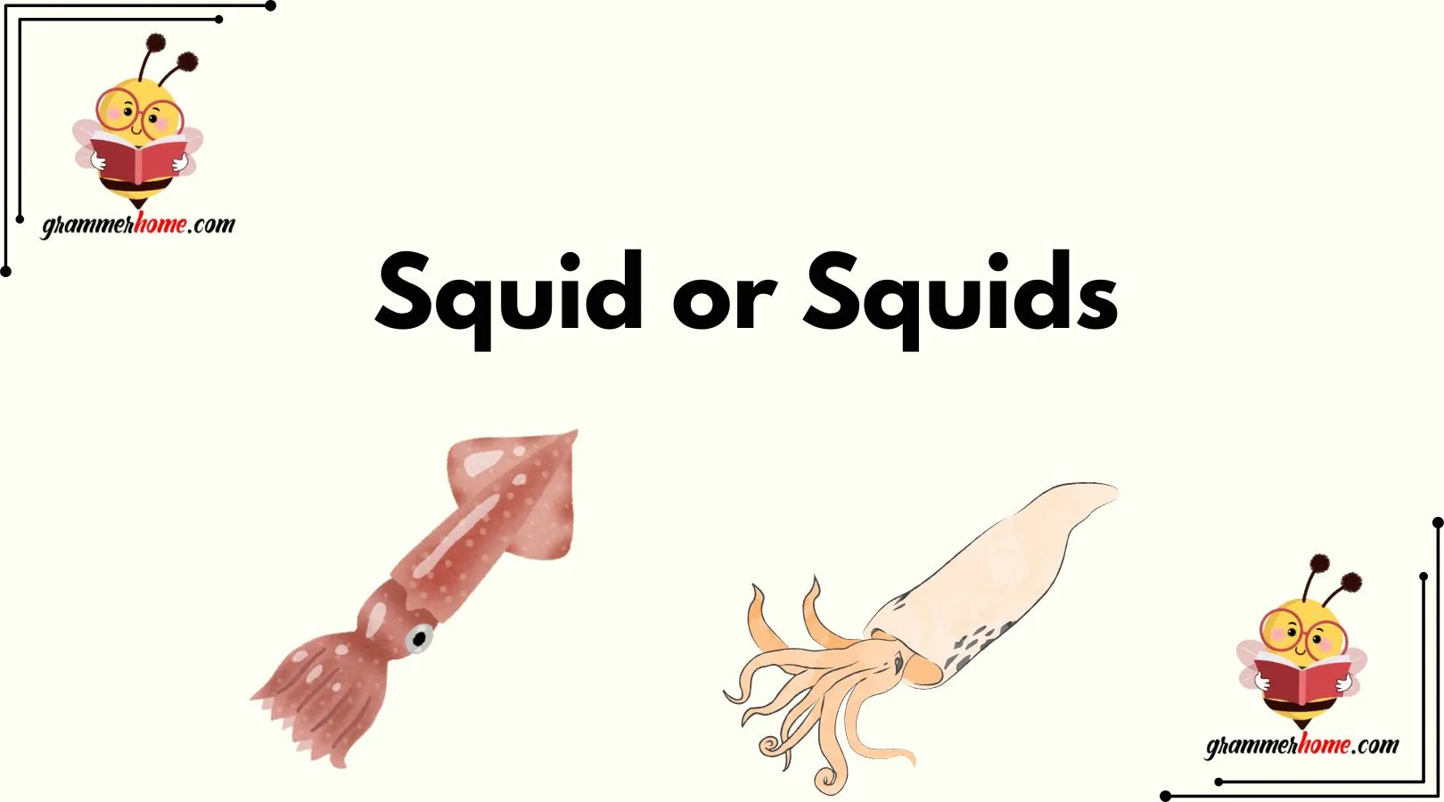 Squid or Squids