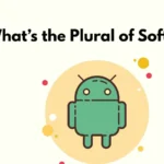 What’s the Plural of Software