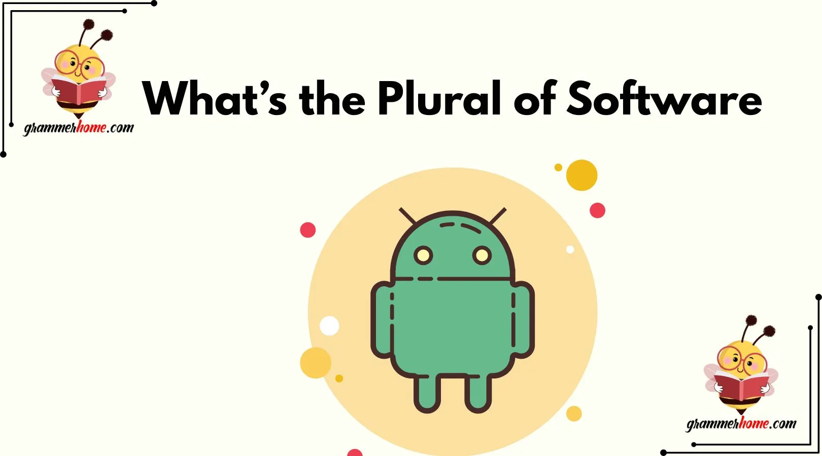 What’s the Plural of Software