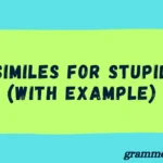 Similes for Stupid (With Example)